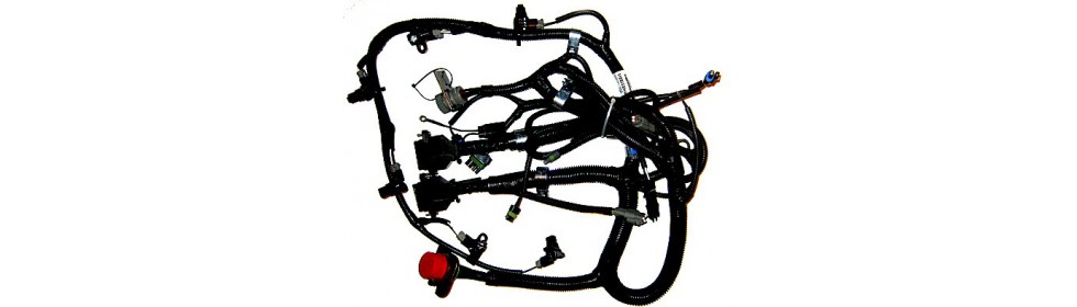 N14 CPlus Engine Wiring Harnesses